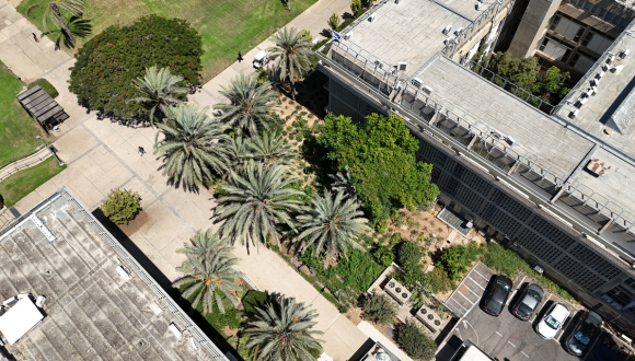 תקציר תנאי ההליך תקציר תנאי ההליך