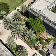 תקציר תנאי ההליך